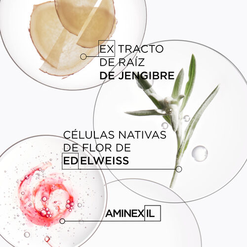 Bain Hydra-fortifiant - T&eacute;cnico K&eacute;rastase | L'Or&eacute;al Partner Shop