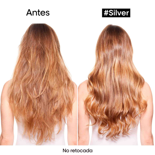 SILVER - L'Oréal Professionnel | L'Oréal Partner Shop