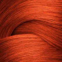 Color Gels Oils 6CR - 6.46 - Comprar por color | L'Oréal Partner Shop