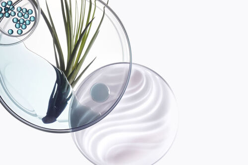 Ciment Anti-Usure - Reventa K&eacute;rastase | L'Or&eacute;al Partner Shop