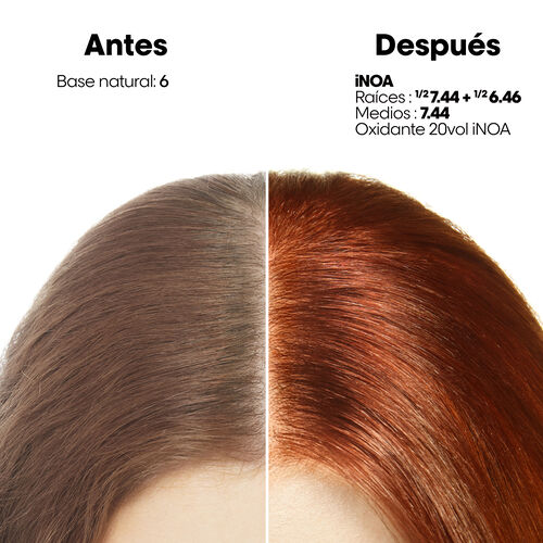 Coloraci&oacute;n iNOA - French Blending | L'Or&eacute;al Partner Shop
