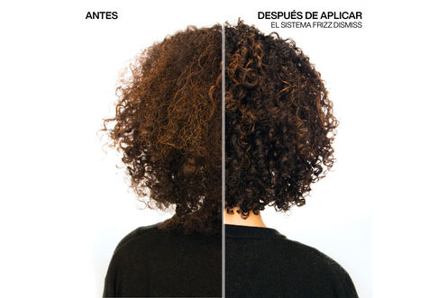 Acondicionador Frizz Dismiss - QuickOrder | L'Oréal Partner Shop