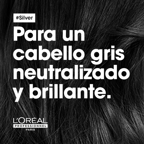 SILVER - L'Oréal Professionnel | L'Oréal Partner Shop