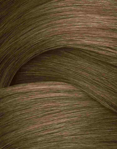 Color Gels Lacquers 6NA - 6.01 - Comprar por color | L'Oréal Partner Shop