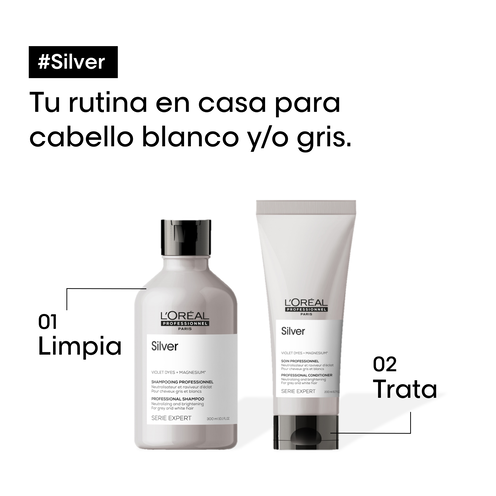 SILVER - L'Oréal Professionnel | L'Oréal Partner Shop