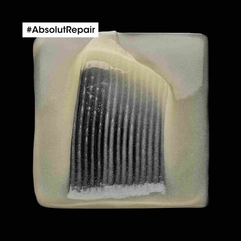 Champú Absolut Repair - Serie Expert | L'Oréal Partner Shop