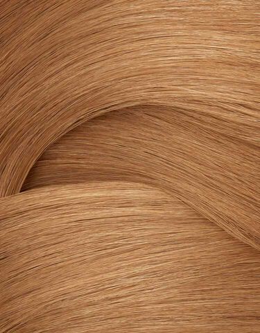 Color Gels Oils 9BC - 9.54 - Comprar por color | L'Oréal Partner Shop